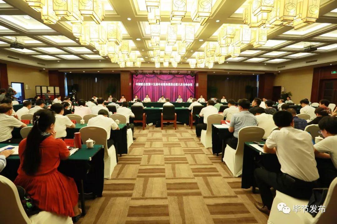 致公党第十五届中央常务委员会第八次全体会议在毕节.