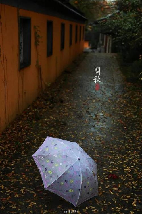 秋雨夜,一庭淡远的梦里,涤荡含香的空灵,风儿叩响一扇心门的帘栊,轻送