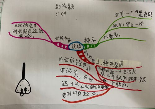 五上 我的心爱之物思维导图