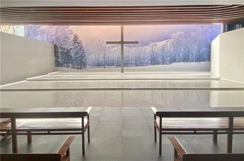 上海安藤忠雄特展门票_门票购买_看展攻略_2021上海忠