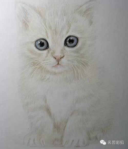 【彩铅教程】怎样画动物的白色胡须