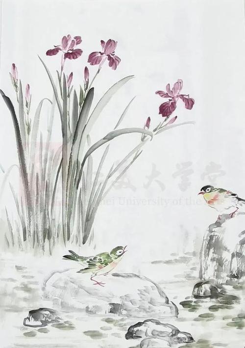 南大教授张永敬红嘴相思鸟画稿 形似神俏,清新秀丽,有笔墨情趣