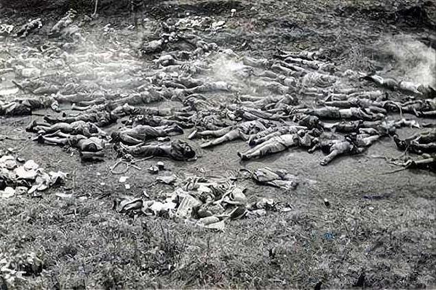 松毛岭大战有多惨烈越南老兵回忆尸体横山遍野身体无一完好