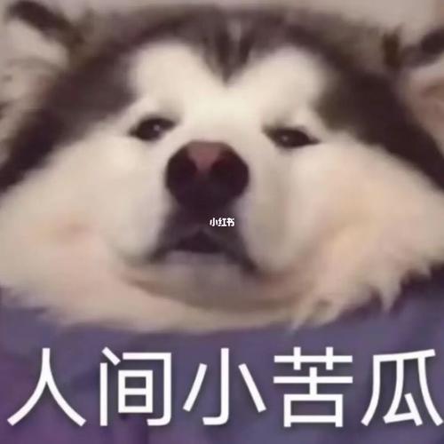 挣扎中放弃…_表情包_素材_素材_表情包