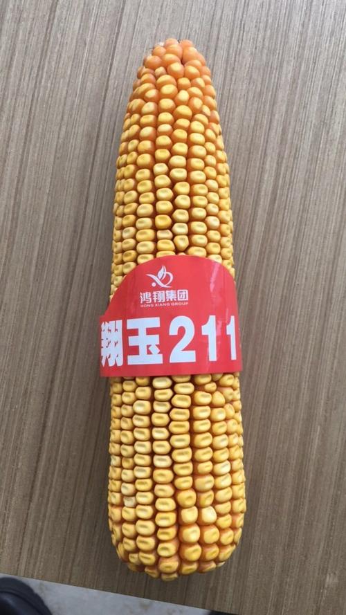 鸿翔高产玉米新品种——翔玉211强势登陆山西