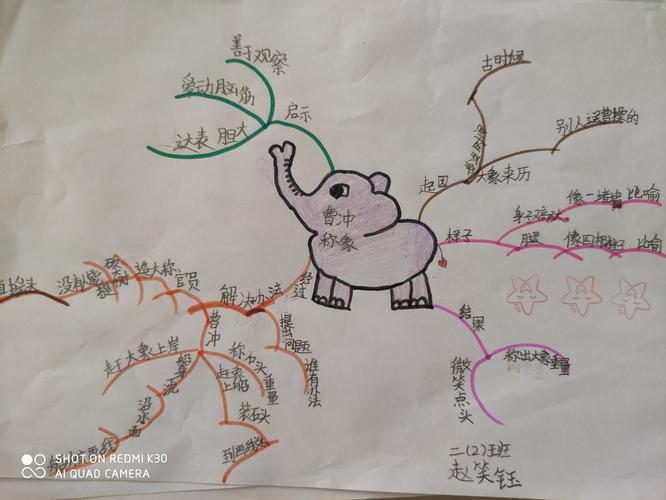 附小二二班《曹冲称象》思维导图作业展示