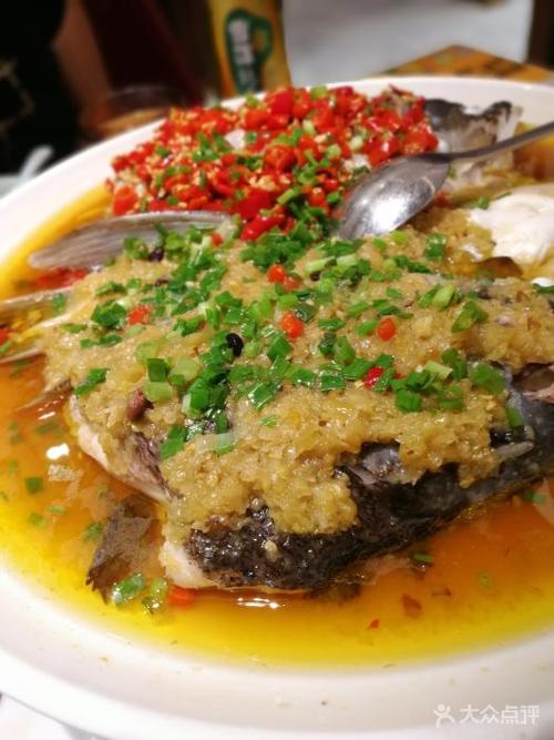 东江水库双色鱼头