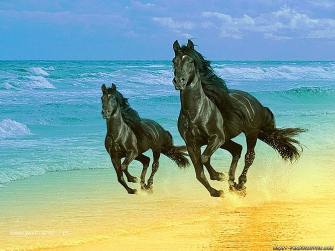 picturewallpaper