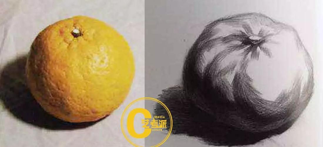 单个静物素描解析橘子