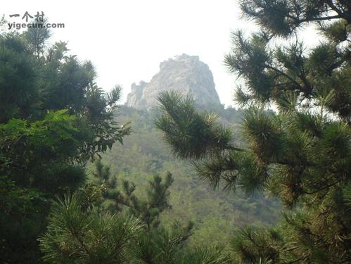 图片_山东省潍坊市诸城市桃林镇草屋村