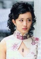 红粉世家[2004年李大为执导电视剧]