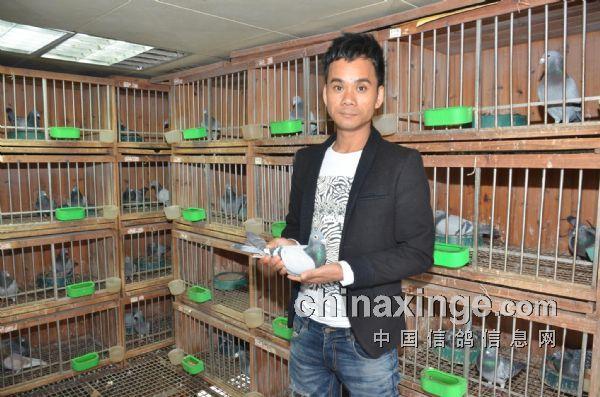 知道专访:广州南粤之星原棚——罗剑星(图)_赛鸽网