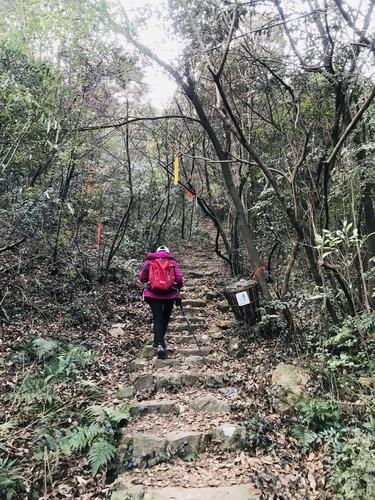 城山古道～霞幕古道一日游.