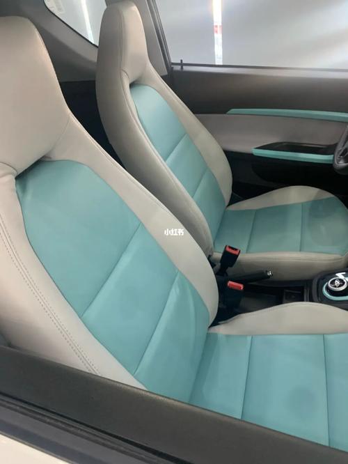 内饰分享 小蚂蚁提车记08 今年过完年就一直想买辆新能源电动车