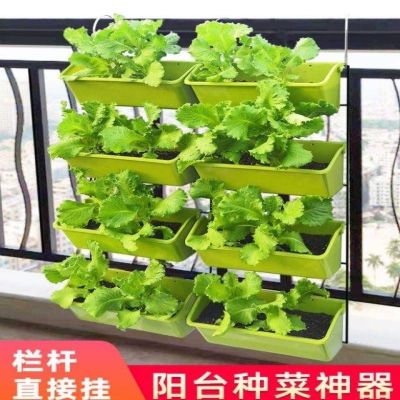 家庭菜园阳台种菜盆架子多层栏杆壁挂蔬菜草莓垂直立体种植盆挂.