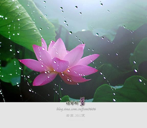 和风细雨润无声