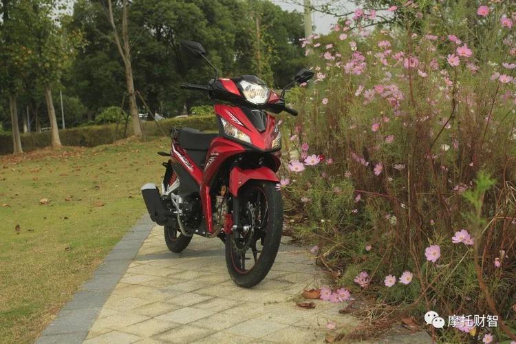 天下弯梁看大阳怎么样大阳125弯梁摩托车天爽论坛