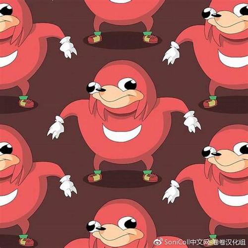 这小家伙原型是索尼克团队里的针鼹纳克鲁斯 属于那种四肢发达 头脑