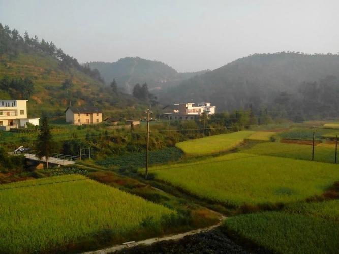 塘村乡