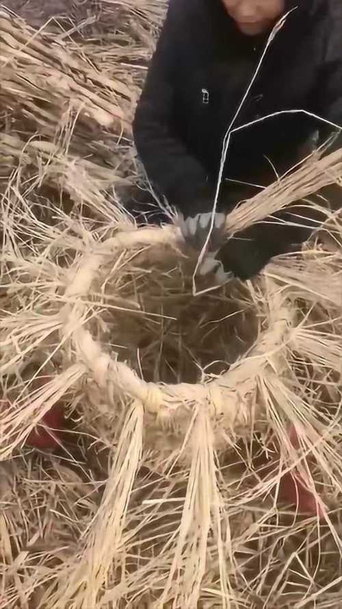 看看鸡窝就是这样编的