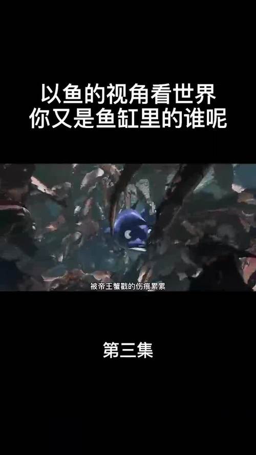 鱼缸中的社会餐桌上的道理萤火计划影视解说