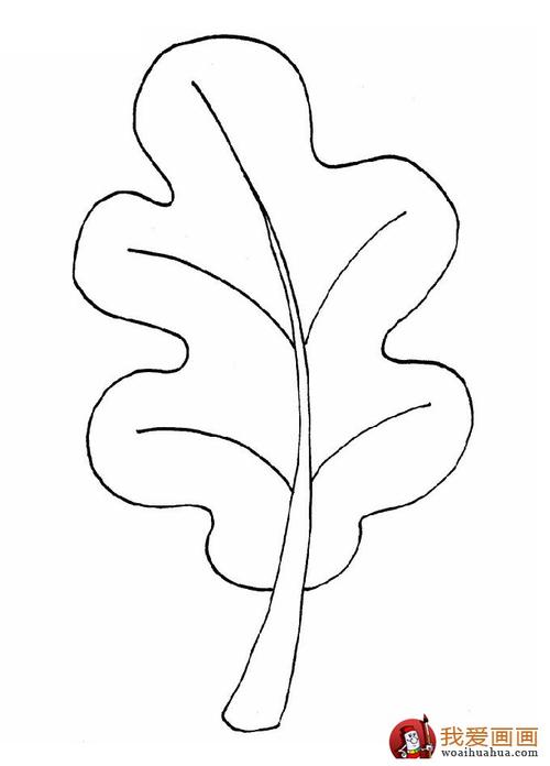 树叶简笔画,树叶简笔画图片(1)