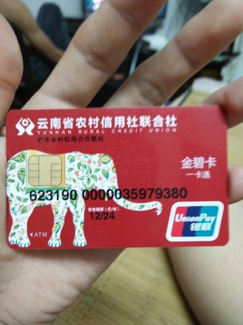 电话咨询云南省农村信用社,怎么查看金额