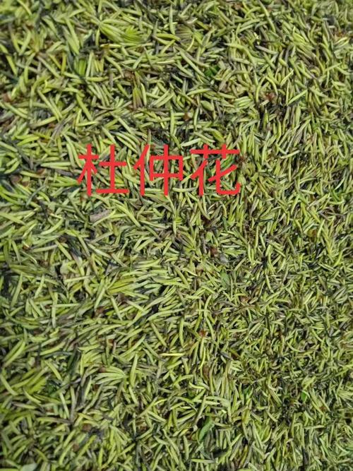 [杜仲雄花批发]杜仲雄花价格120元/斤 - 惠农网