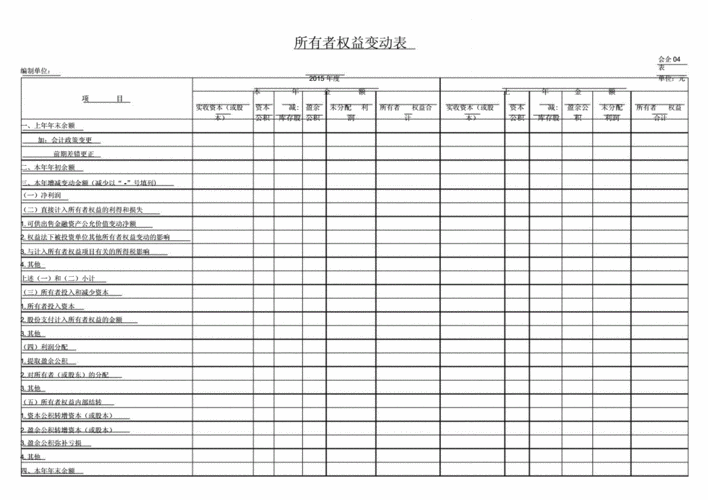 的所有者权益变动表.docx 1页
