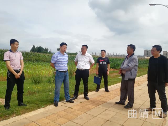 沾益区领导到白水镇调研指导工作