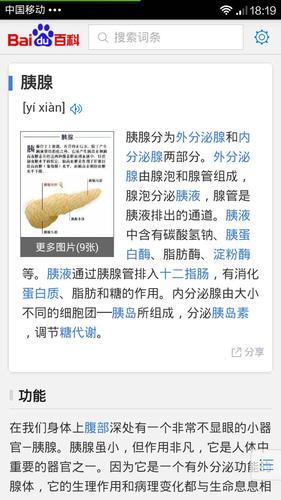 胰腺是什么地方