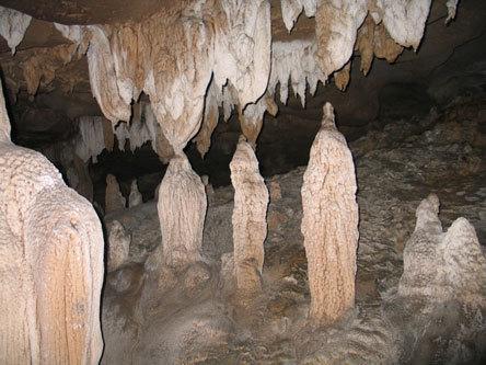 石钟乳和石笋长什么样