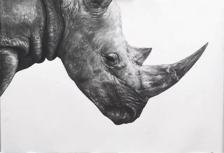 手绘半开的犀牛
