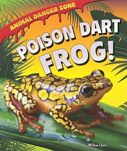 poison dart frog