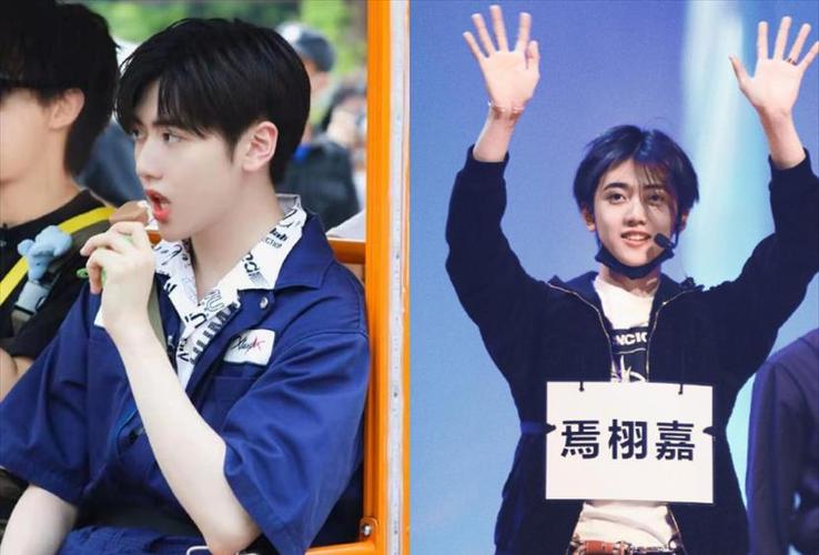 焉栩嘉恋情事件后续,两场晚会被取消,大面积脱粉后已经凉凉?