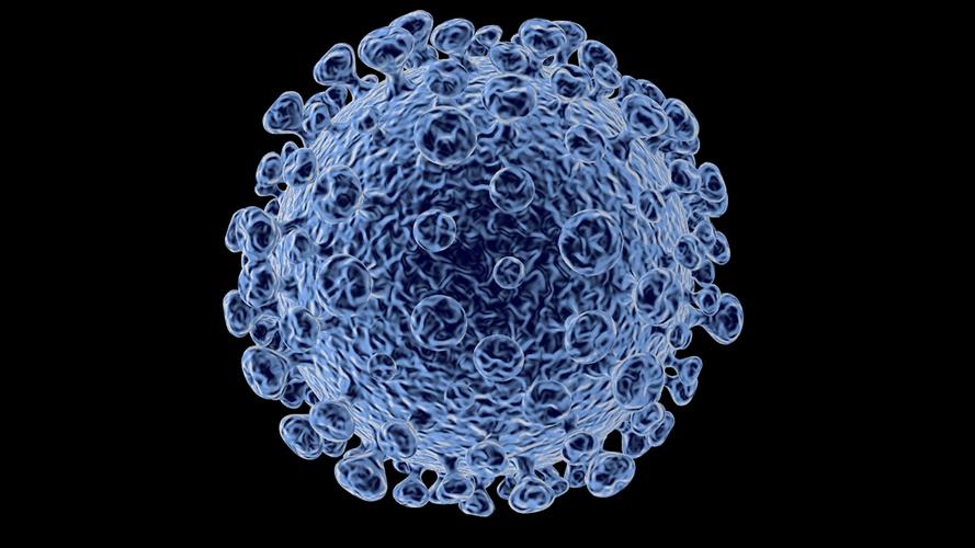 病毒virus