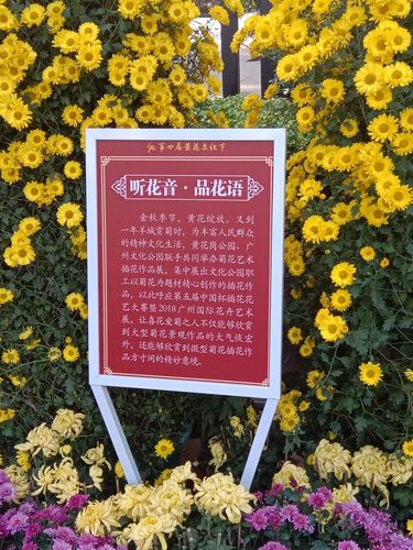 第四届黄花文化节广州黄花岗菊花展