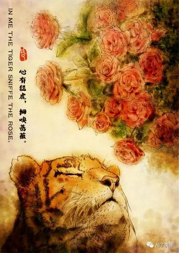 心有猛虎,细嗅蔷薇|花志