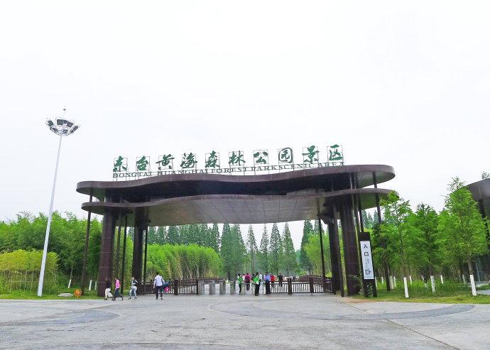 东台黄海森林公园12(高清组图)