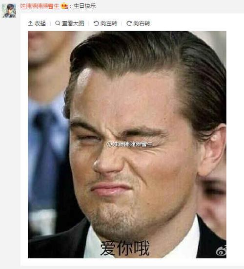 同样是生日,小李子过成了表情包盛会,看看人家苍老师!