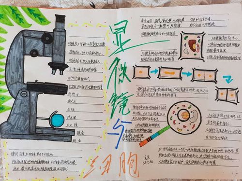 班地生手抄报第一期 写美篇 细胞生物学是现代生命科学的重要基础学科