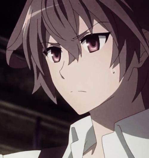 fate apocrypha 齐格