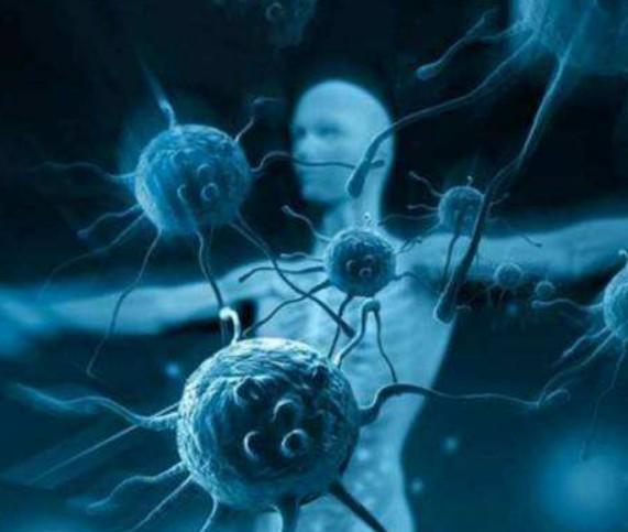 年龄越大,僵尸细胞越多