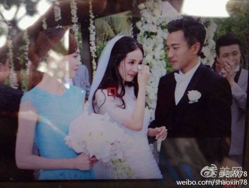 杨幂刘恺威高清婚照曝光(18)