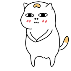 真心的跪谢老板