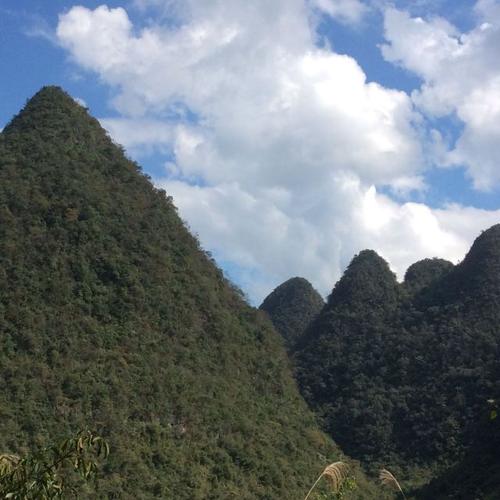 荔波茂兰国家级自然保护区景区旅游攻略 之景点22(22/共36页)