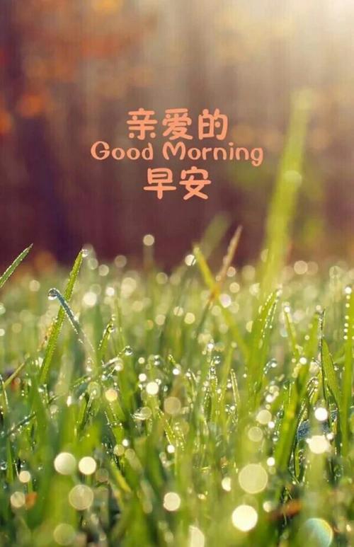 醒来,看到满眼的希望,心中充满宁静与安详,那是我送你的美好愿望,早安