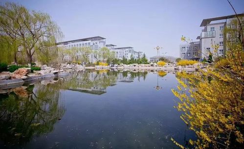 单招综招系列发布济南职业学院