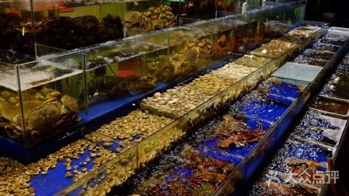 天鹏海鲜城四号馆(鲁记四号馆)-海鲜挑选区图片-无锡美食-大众点评网