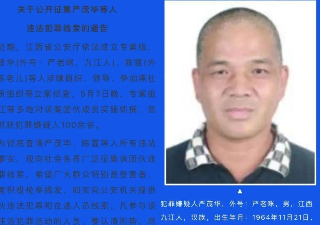 九江黑老大严老咪暗杀竞争对手垄断房地产高利贷等行业还是有名的慈善